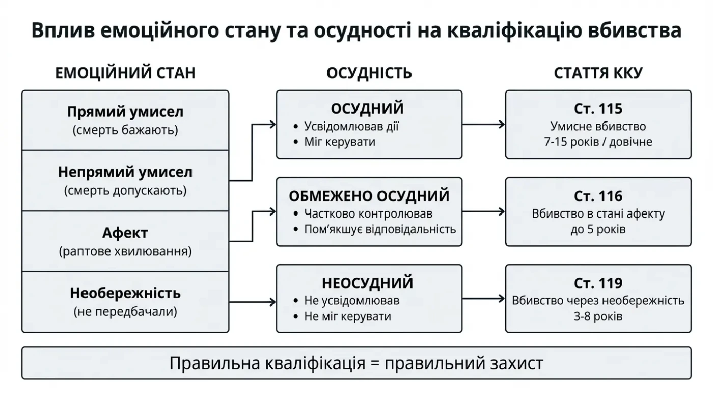 осудність афект неосудність